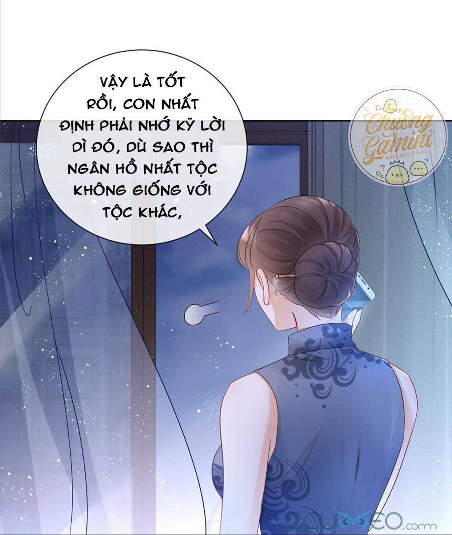 Boss Sát Thủ Dưỡng Hồ Yêu Chapter 3 - Trang 11