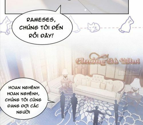 Boss Sát Thủ Dưỡng Hồ Yêu Chapter 9 - Trang 24