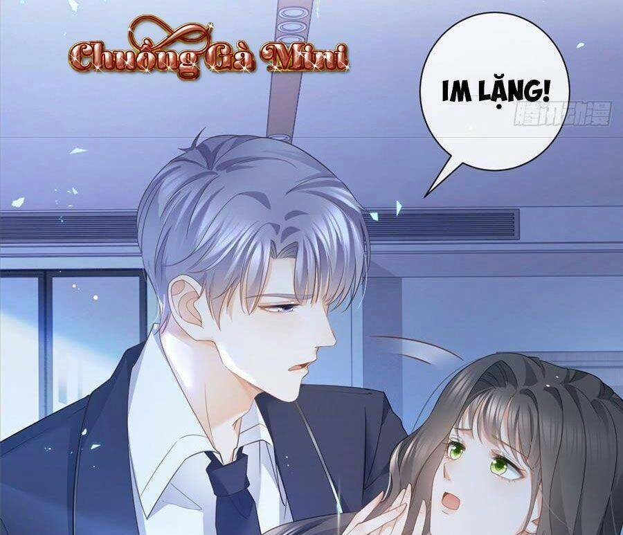 Boss Sát Thủ Dưỡng Hồ Yêu Chapter 16 - Trang 21