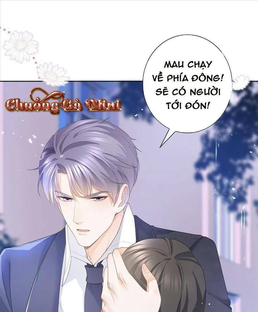 Boss Sát Thủ Dưỡng Hồ Yêu Chapter 16 - Trang 51