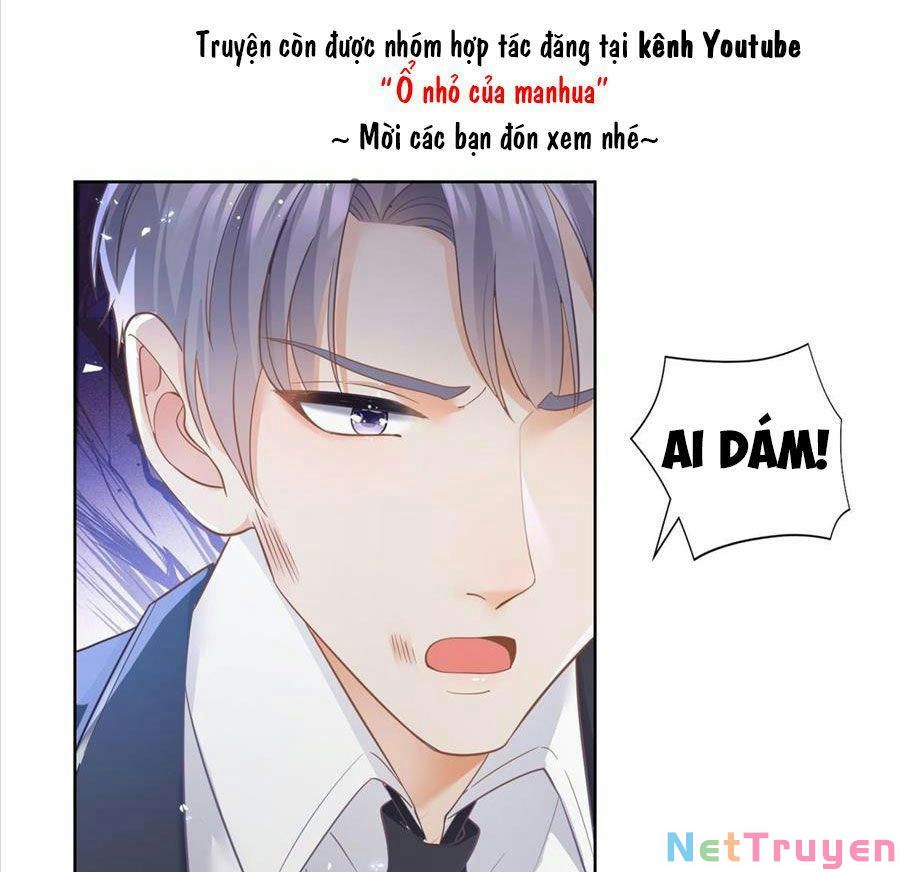 Boss Sát Thủ Dưỡng Hồ Yêu Chapter 17 - Trang 41