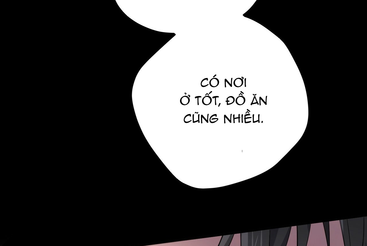 Đàn Thỏ Của Habibi Chapter 19 - Trang 180