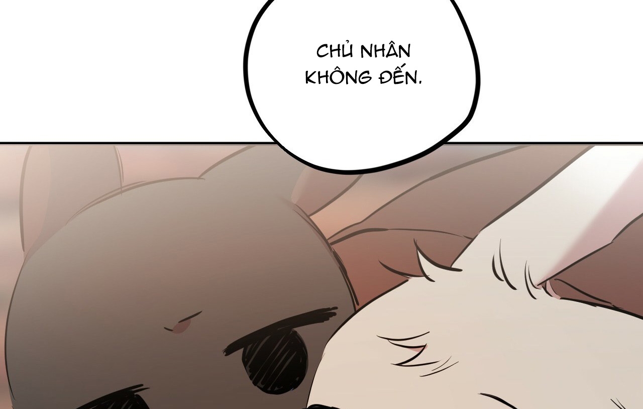 Đàn Thỏ Của Habibi Chapter 19 - Trang 242