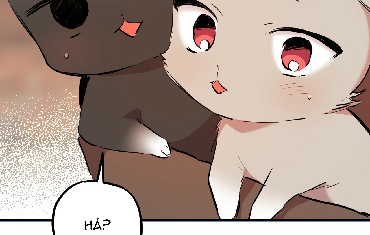 Đàn Thỏ Của Habibi Chapter 19 - Trang 243
