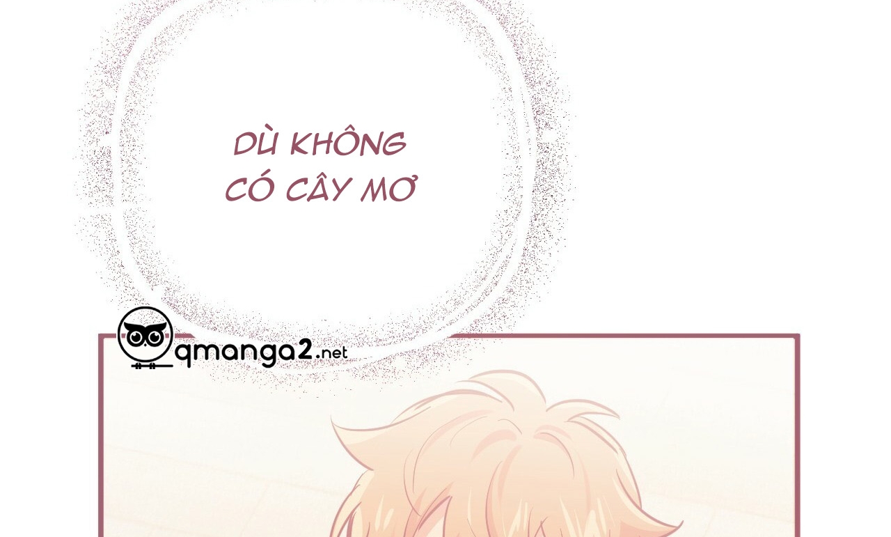 Đàn Thỏ Của Habibi Chapter 19 - Trang 264