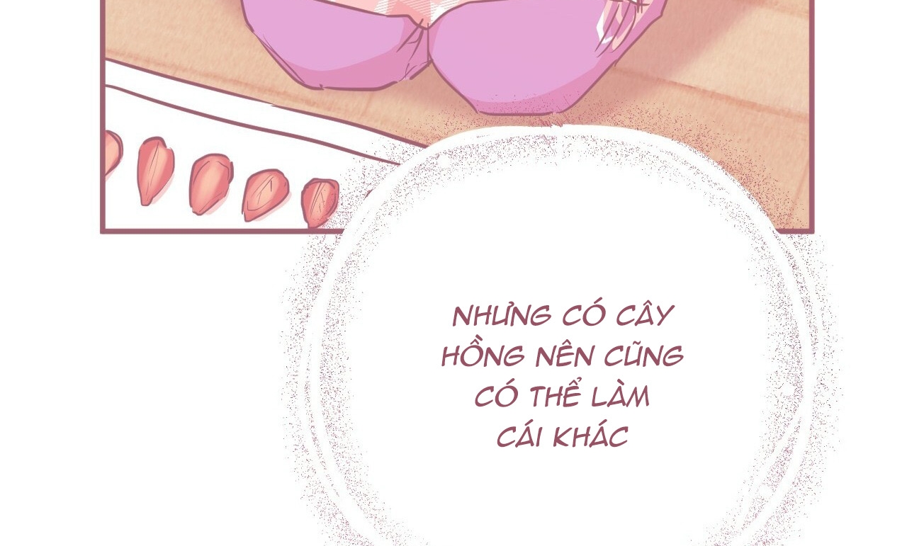 Đàn Thỏ Của Habibi Chapter 19 - Trang 267