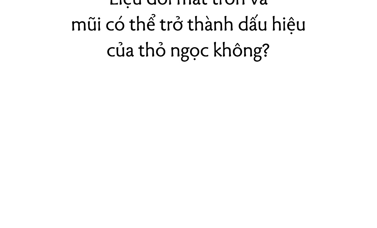 Đàn Thỏ Của Habibi Chapter 19 - Trang 63