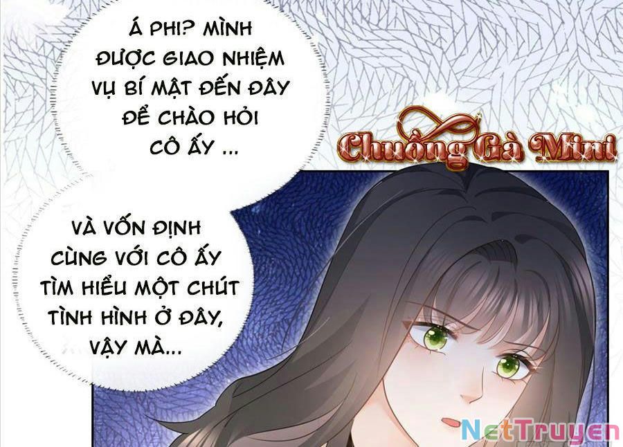 Boss Sát Thủ Dưỡng Hồ Yêu Chapter 19 - Trang 46