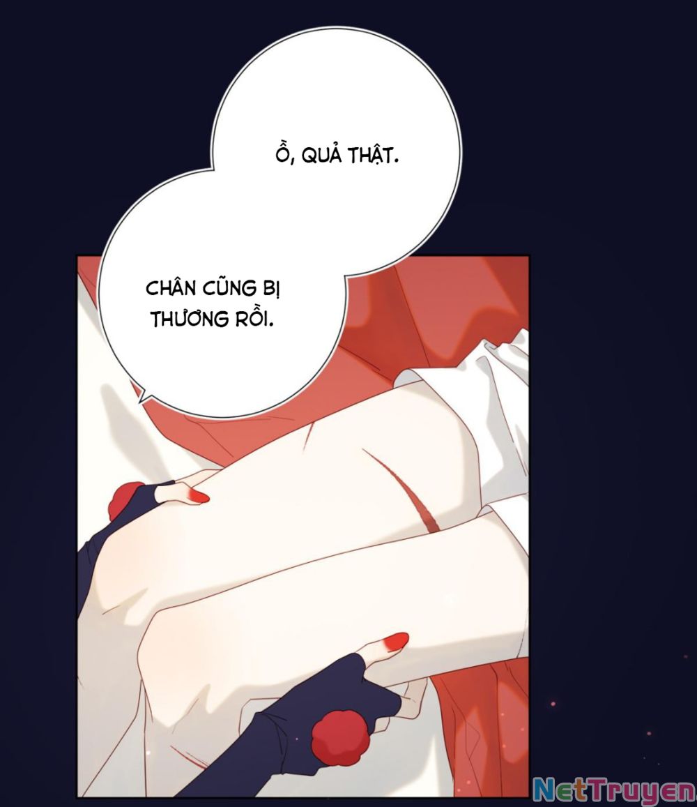 Ác Nữ Cự Tuyệt Cua Nam Chính Chapter 53.5 - Trang 19