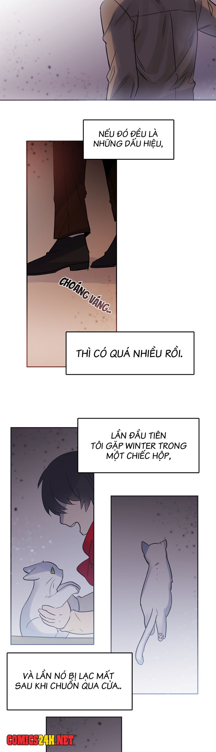 Chàng Mèo Trong Hộp Carton Chapter 27 - Trang 16