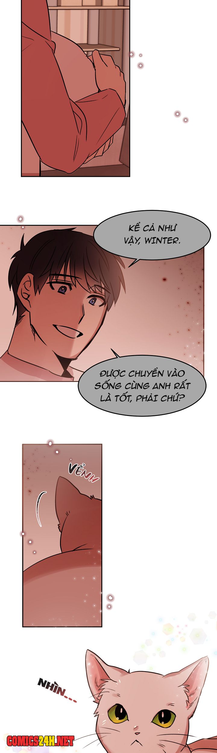 Chàng Mèo Trong Hộp Carton Chapter 27 - Trang 9