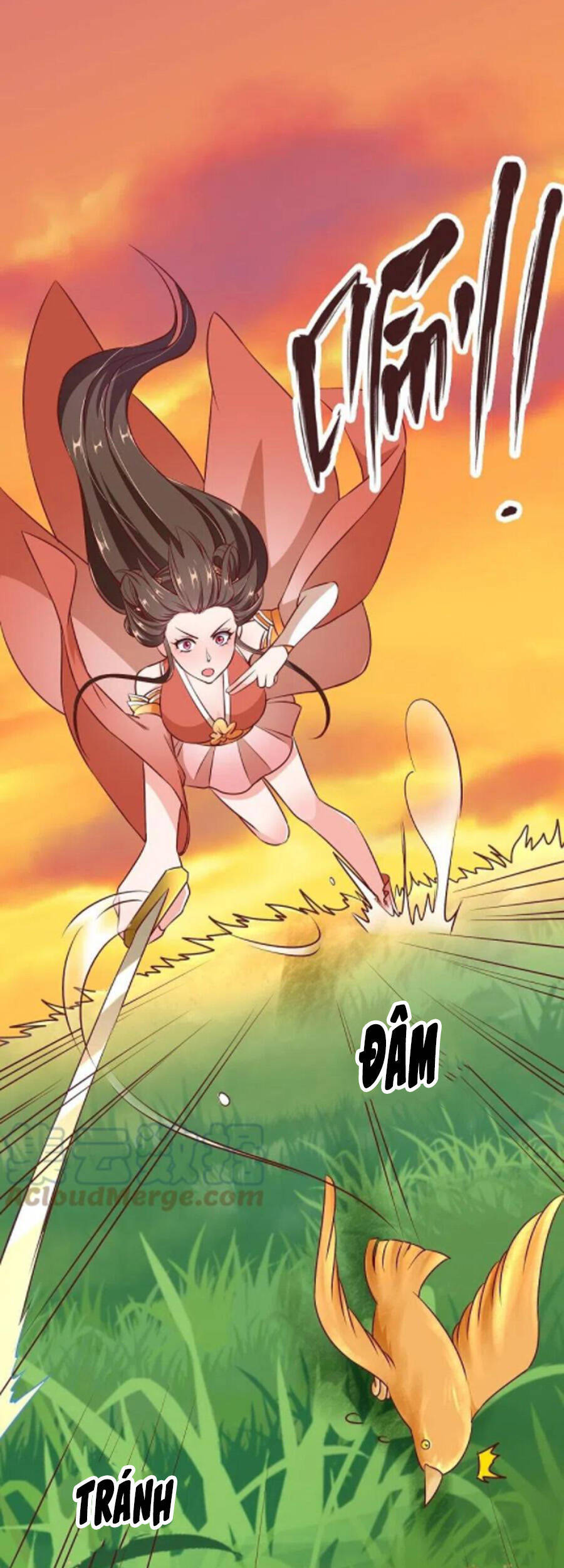 Chí Tôn Trời Hoang Chapter 64 - Trang 15