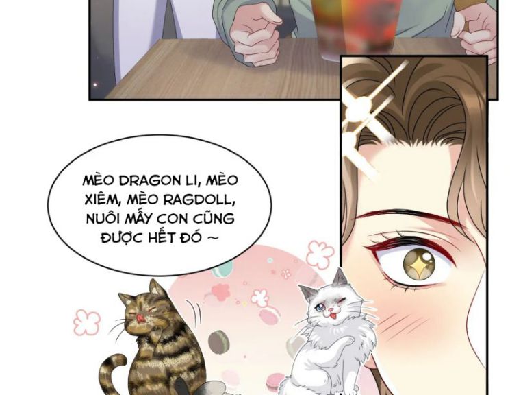 Lại Bị Bạn Trai Cũ Nhắm Trúng Rồi Chapter 51 - Trang 19