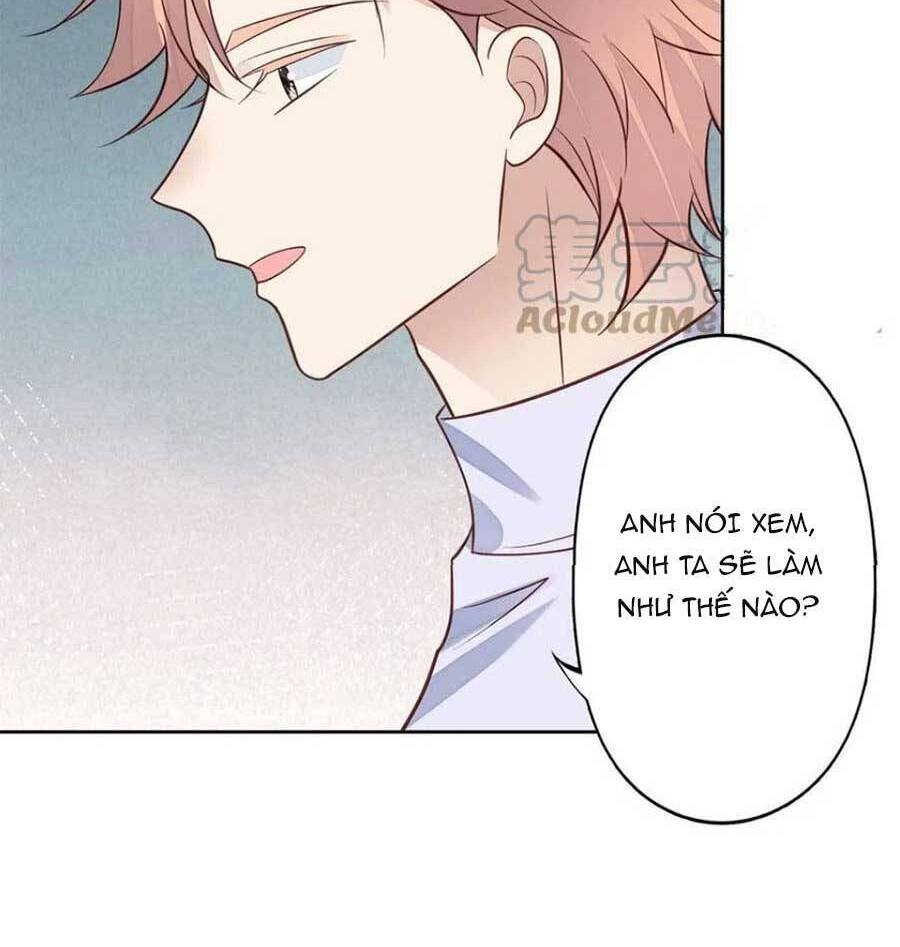 Lưng Dựa Núi Lớn Đứng Vững C Vị Chapter 98 - Trang 24