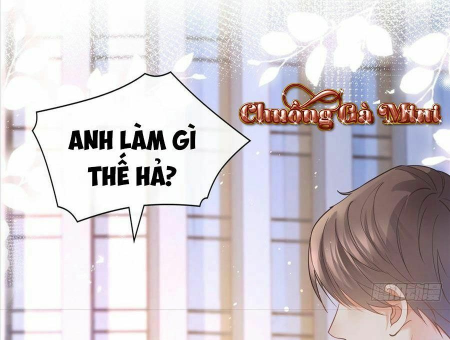 Boss Sát Thủ Dưỡng Hồ Yêu Chapter 20 - Trang 6