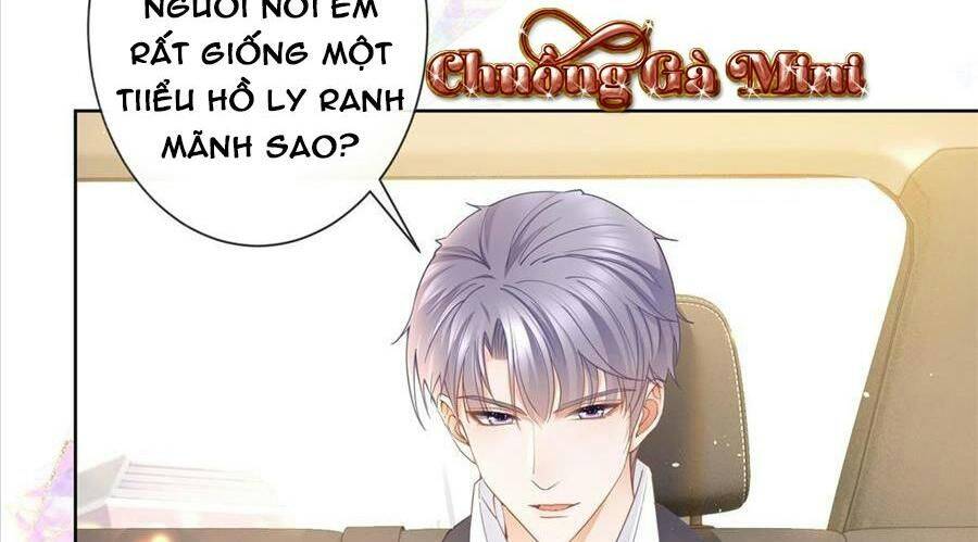 Boss Sát Thủ Dưỡng Hồ Yêu Chapter 23 - Trang 12