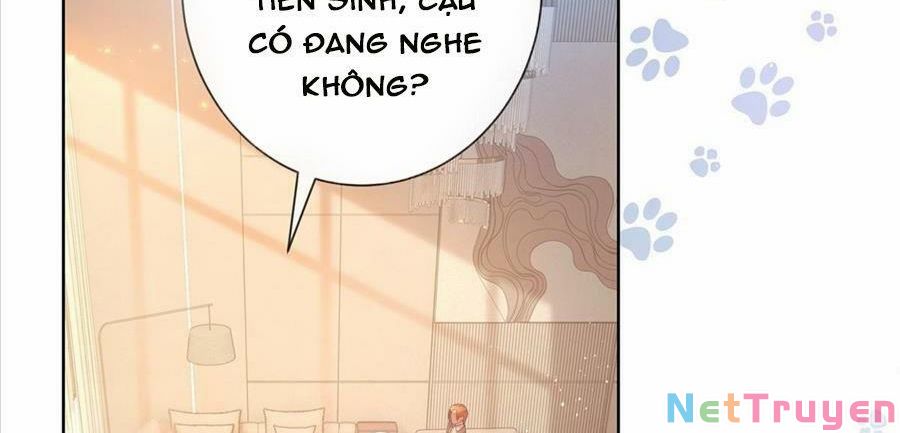 Boss Sát Thủ Dưỡng Hồ Yêu Chapter 26 - Trang 8