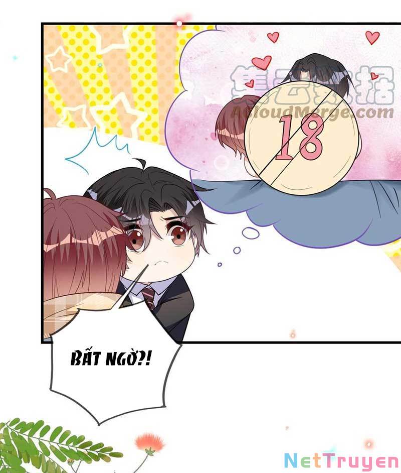 Ảnh Đế Làm Loạn Đòi Ly Hôn Chapter 88 - Trang 29