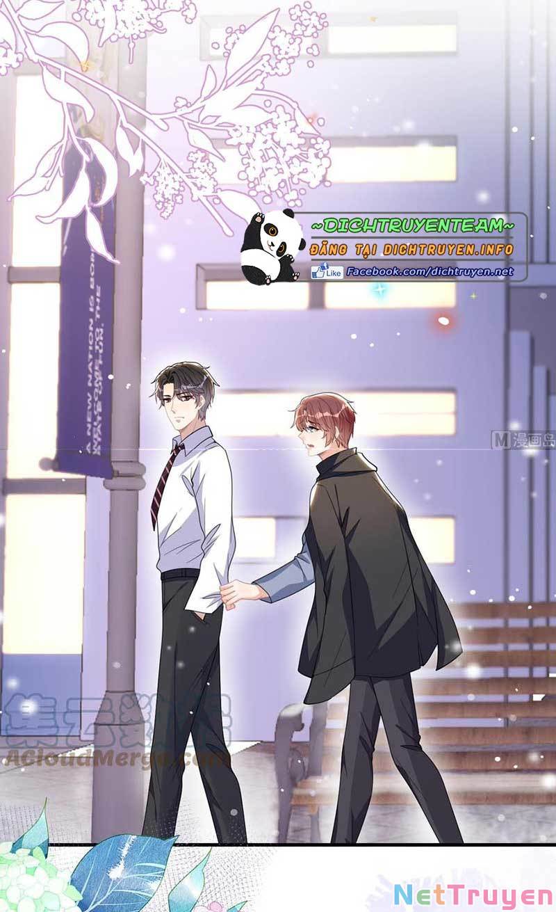 Ảnh Đế Làm Loạn Đòi Ly Hôn Chapter 88 - Trang 3