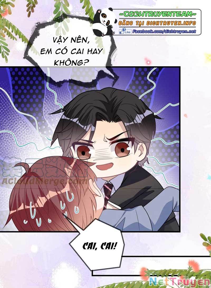 Ảnh Đế Làm Loạn Đòi Ly Hôn Chapter 90 - Trang 17