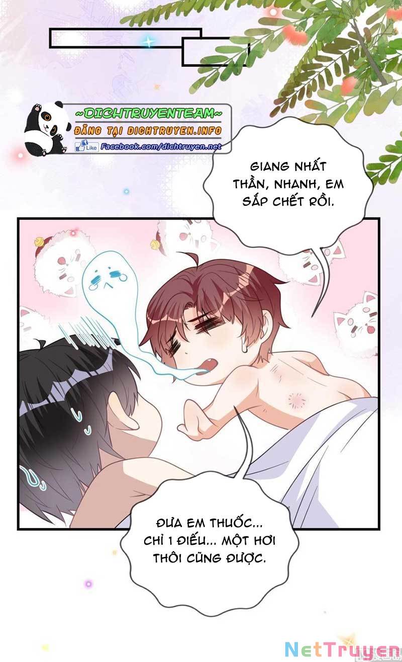 Ảnh Đế Làm Loạn Đòi Ly Hôn Chapter 90 - Trang 18