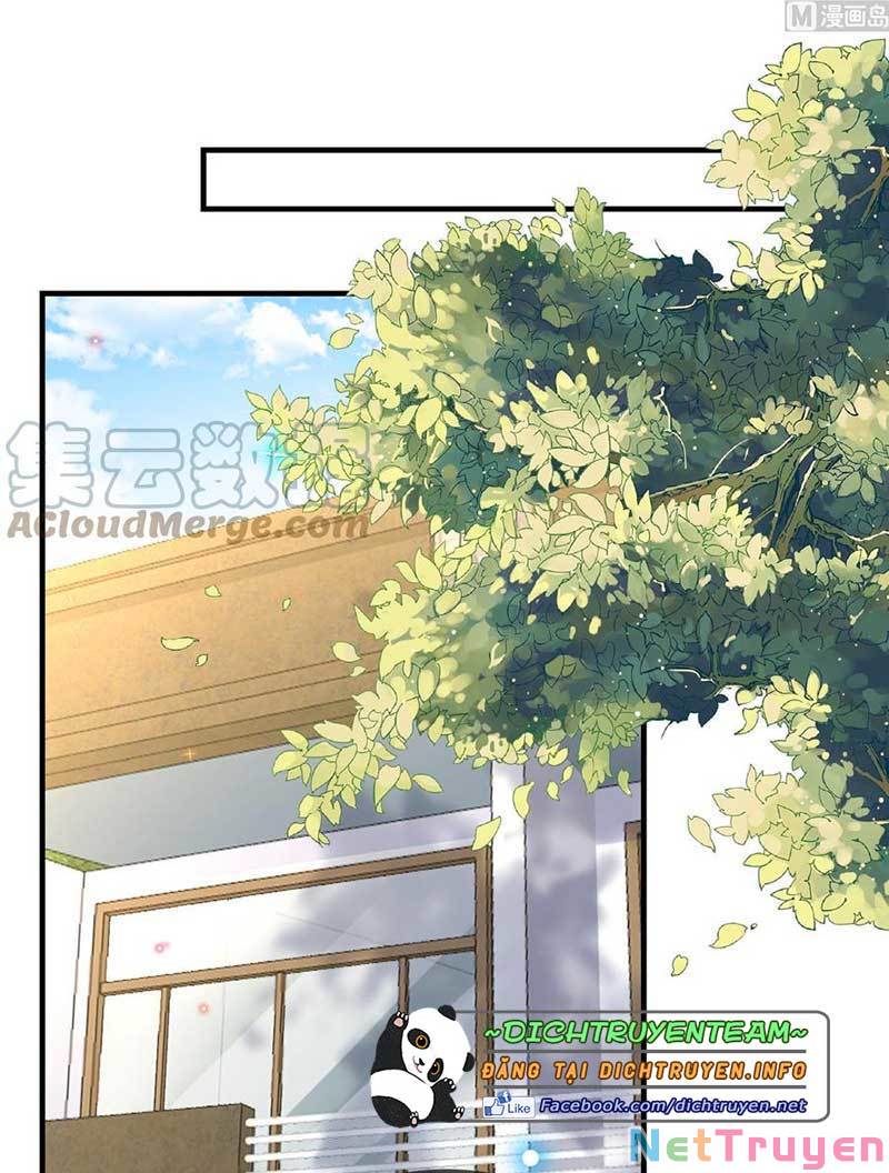 Ảnh Đế Làm Loạn Đòi Ly Hôn Chapter 90 - Trang 26