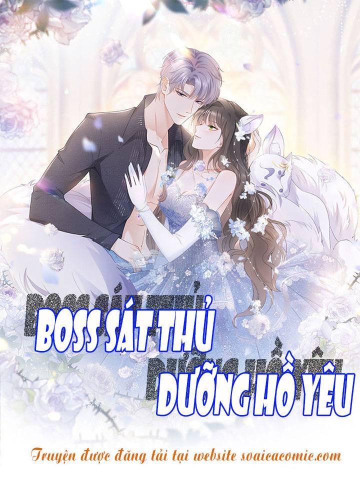 Boss Sát Thủ Dưỡng Hồ Yêu Chapter 31 - Trang 1