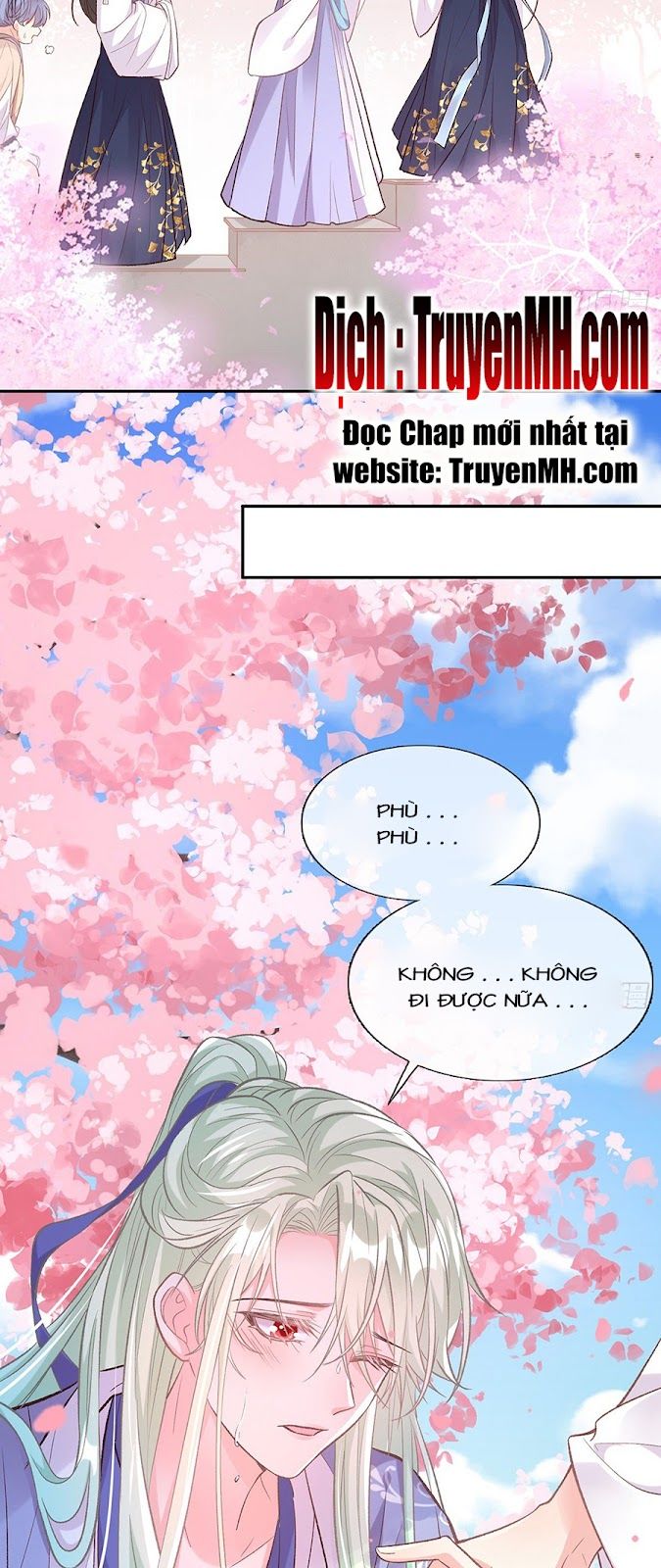 Kiều Mỵ Phu Lang, Tại Tuyến Lục Trà Chapter 47 - Trang 4