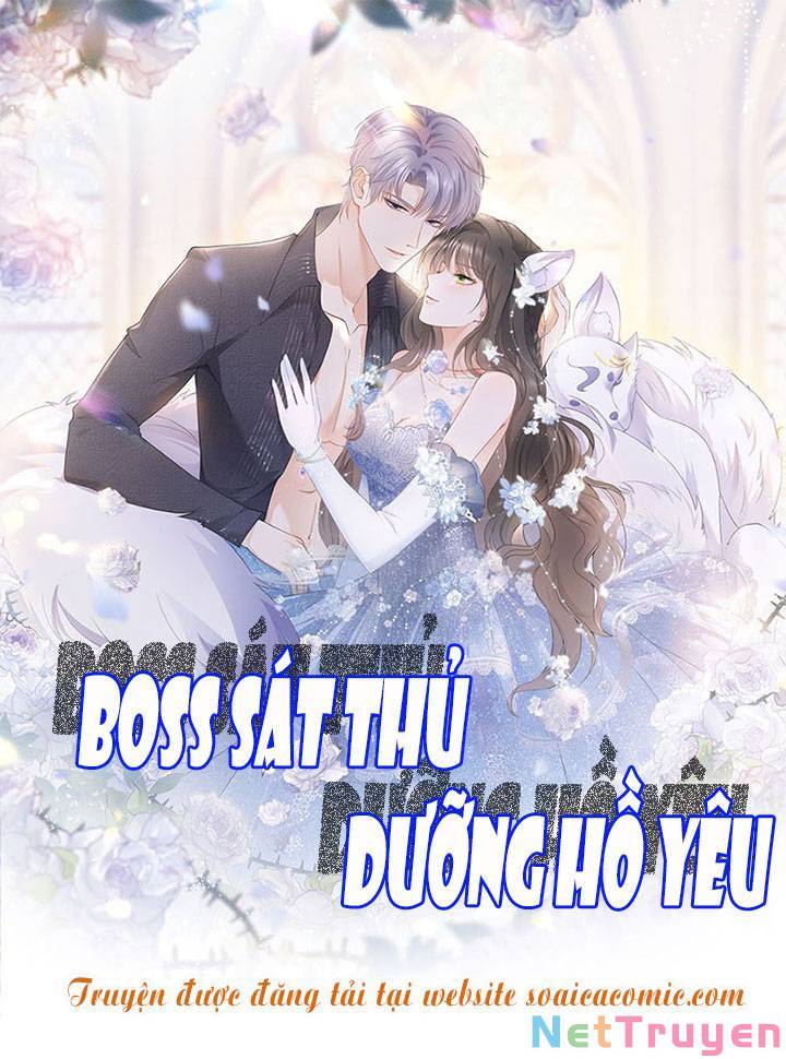 Boss Sát Thủ Dưỡng Hồ Yêu Chapter 39 - Trang 1