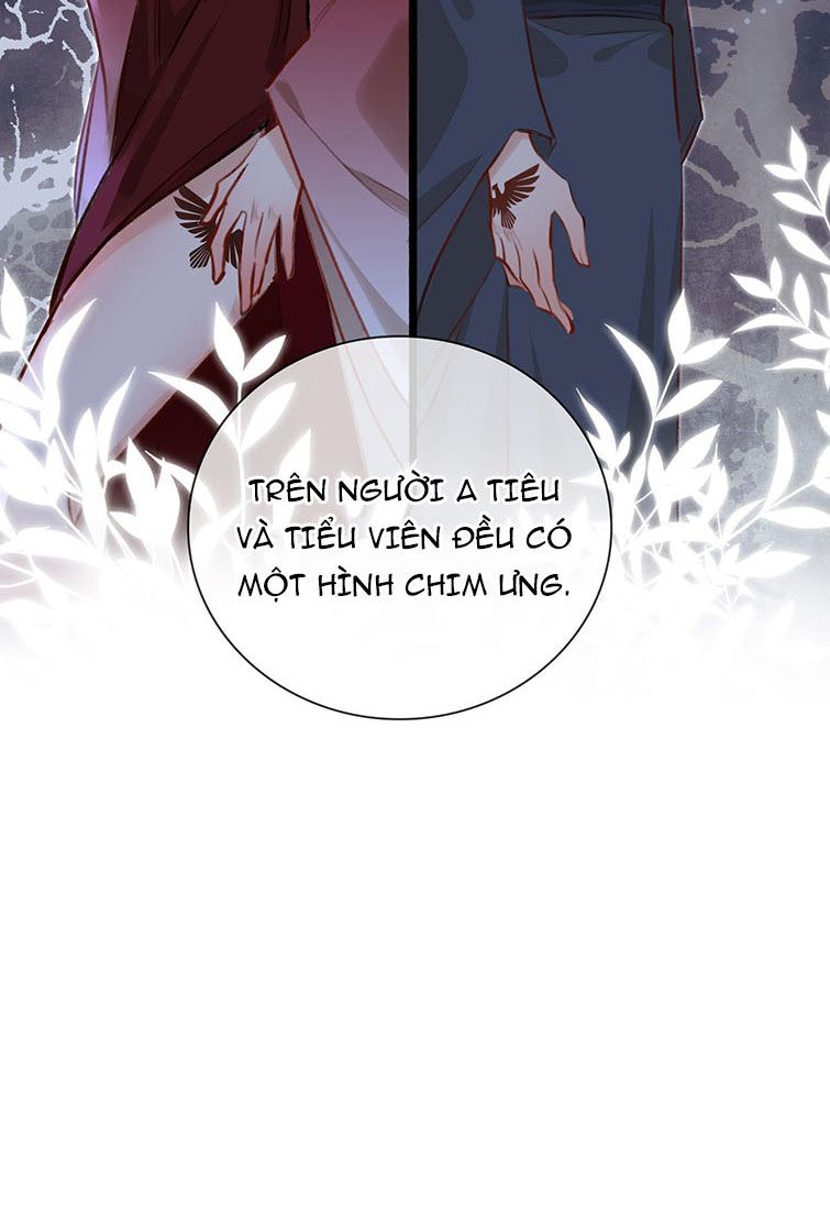 Tế Vũ Bất Tri Quy Chapter 58 - Trang 4