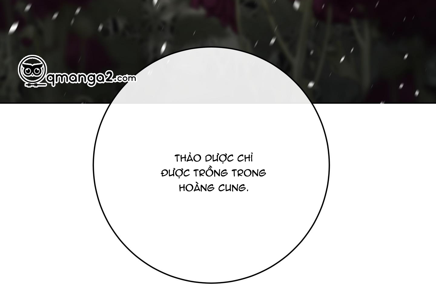 Nhật Thực Chapter 71 - Trang 41