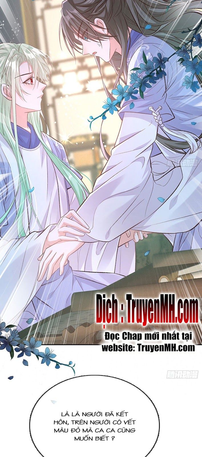 Kiều Mỵ Phu Lang, Tại Tuyến Lục Trà Chapter 52 - Trang 7