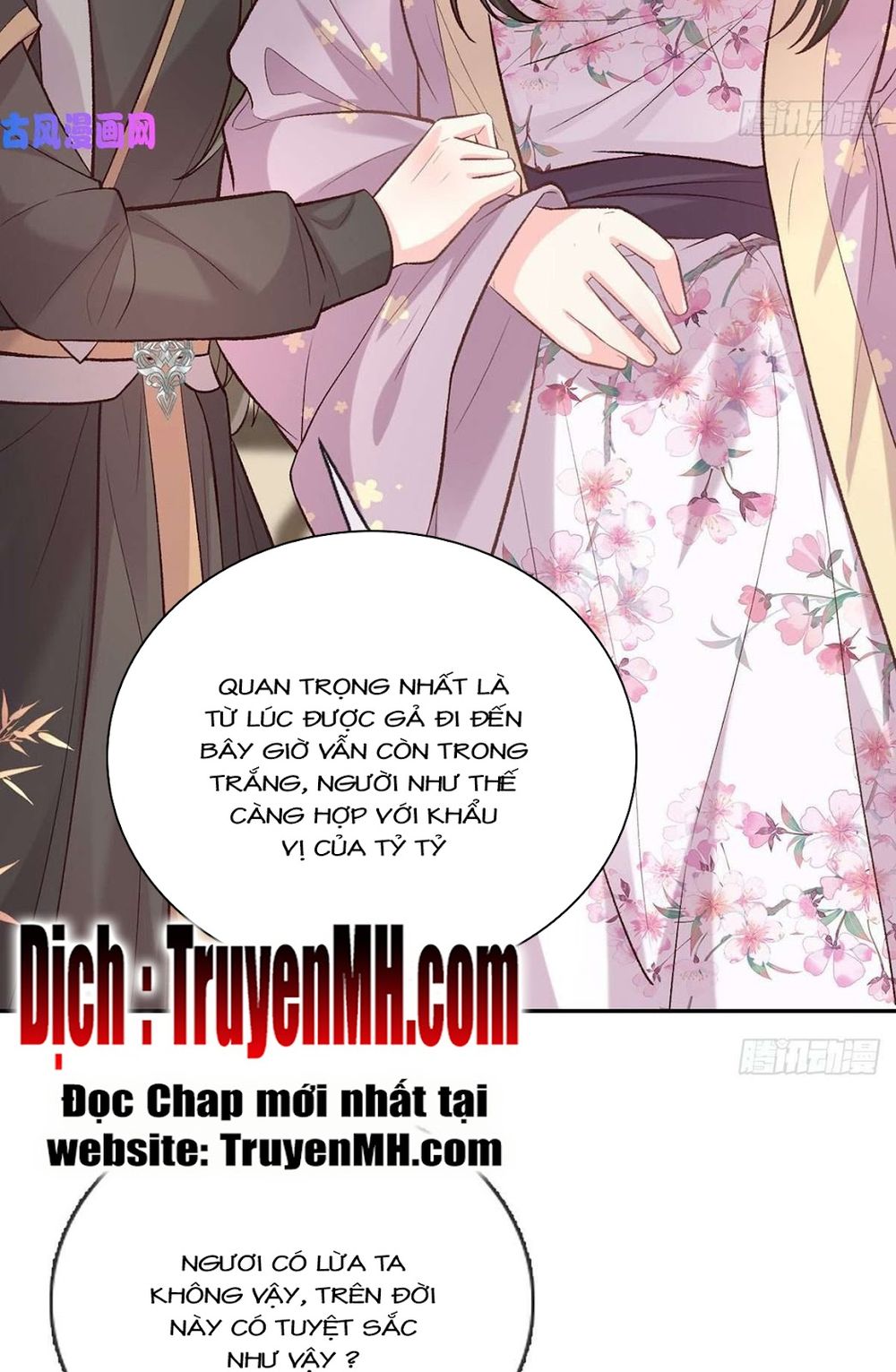 Kiều Mỵ Phu Lang, Tại Tuyến Lục Trà Chapter 59 - Trang 3