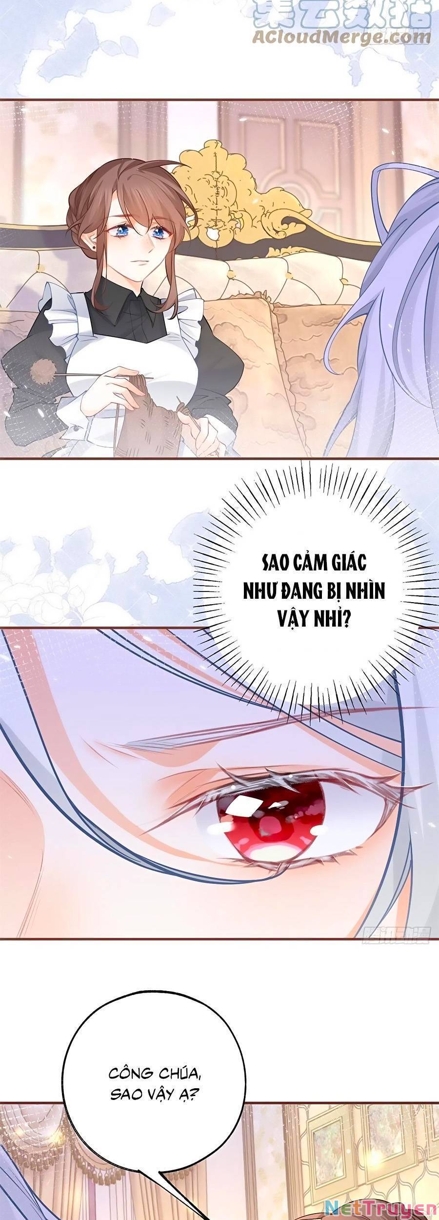 Ngày Nào Đó Trở Thành Công Chúa Tế Phẩm Chapter 65 - Trang 4