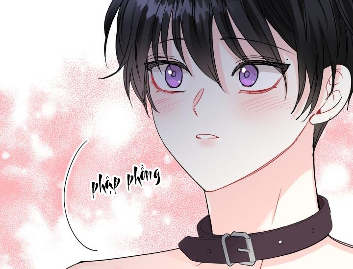 Xác Suất Tình Yêu Chapter 52 - Trang 27