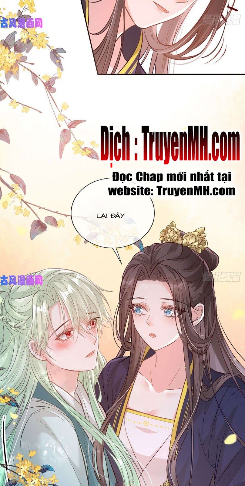 Kiều Mỵ Phu Lang, Tại Tuyến Lục Trà Chapter 60 - Trang 12