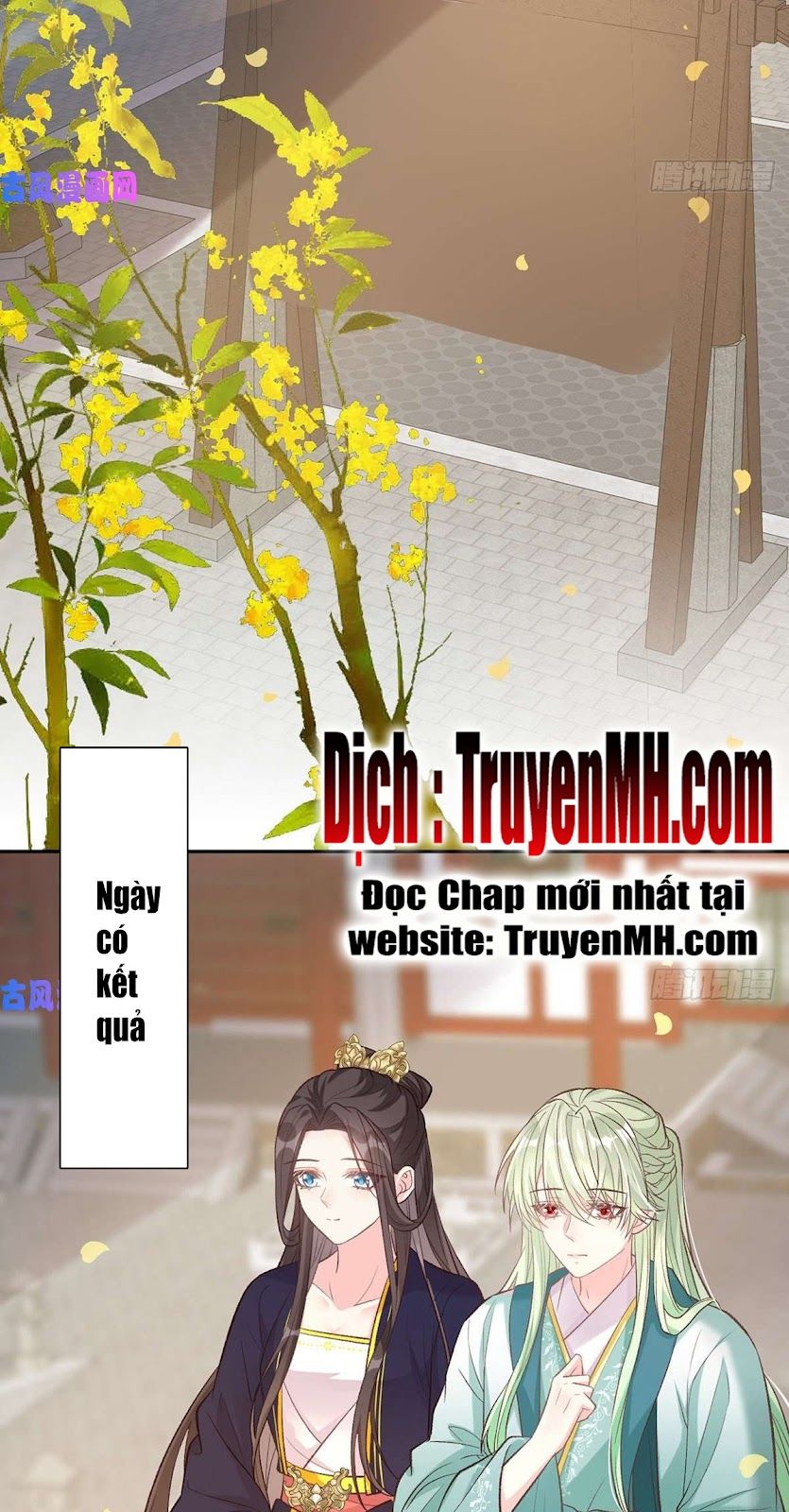 Kiều Mỵ Phu Lang, Tại Tuyến Lục Trà Chapter 60 - Trang 4