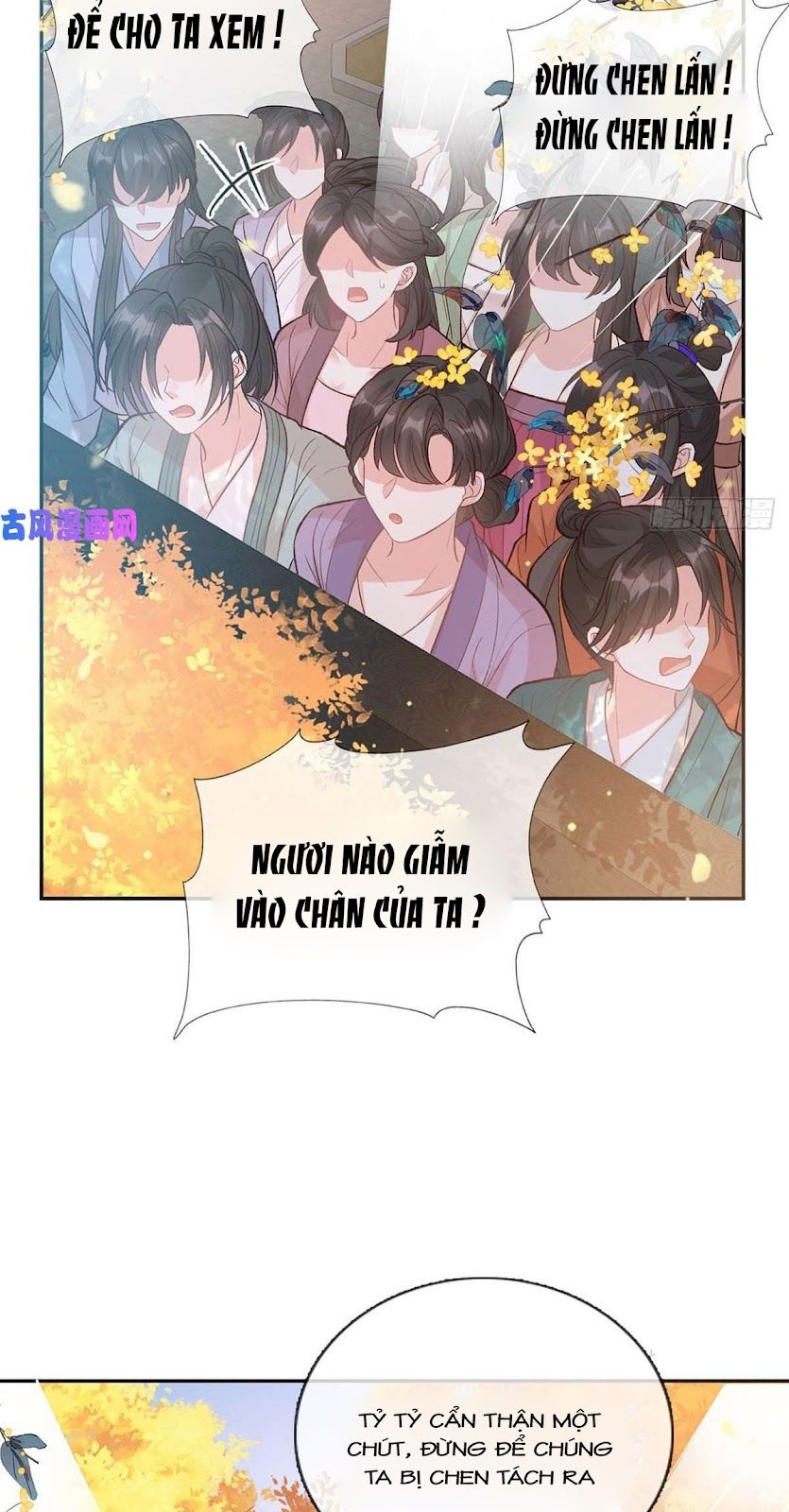 Kiều Mỵ Phu Lang, Tại Tuyến Lục Trà Chapter 60 - Trang 9