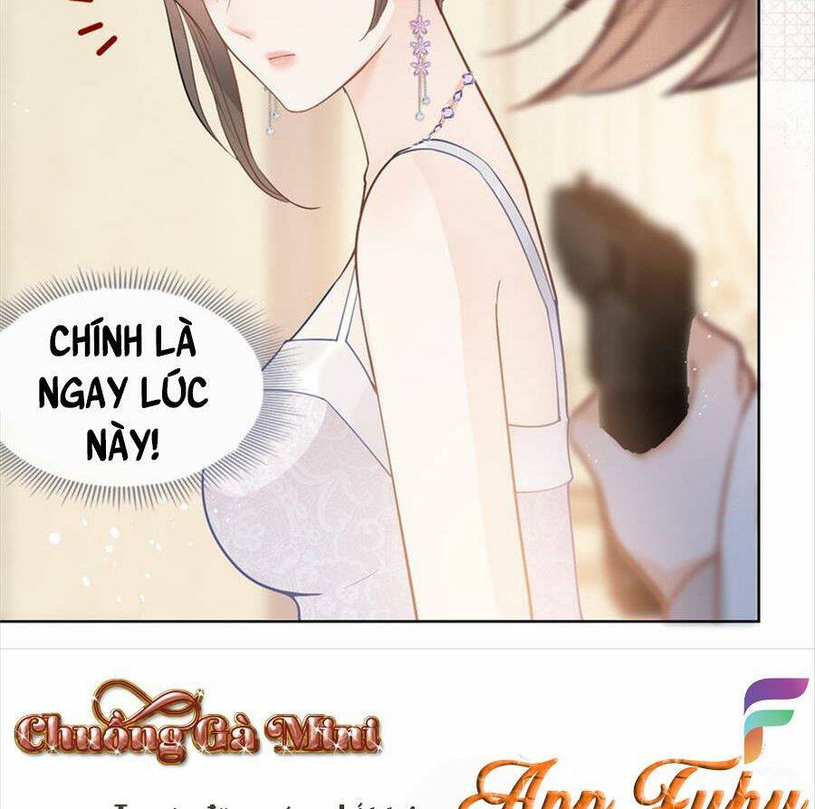 Boss Sát Thủ Dưỡng Hồ Yêu Chapter 65 - Trang 18