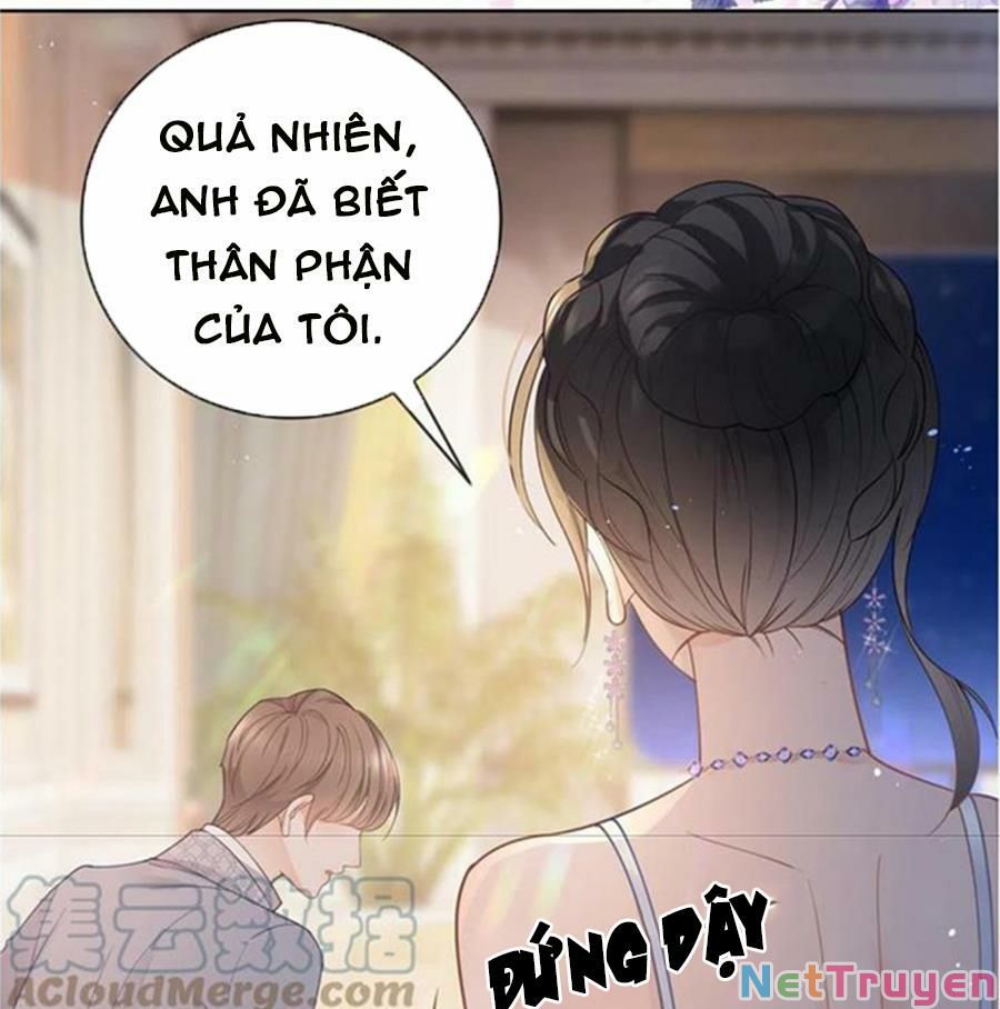 Boss Sát Thủ Dưỡng Hồ Yêu Chapter 66 - Trang 29