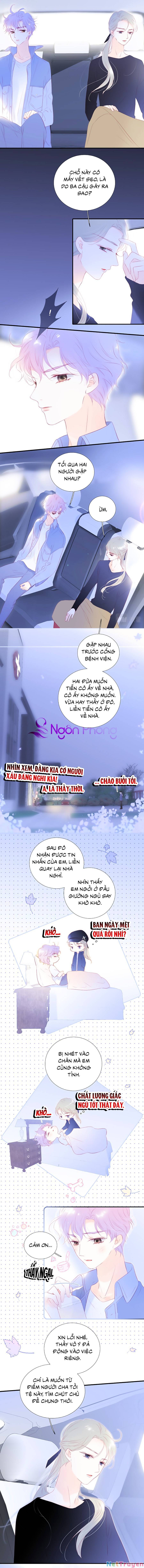 Hoa Bỏ Chạy Với Nhím Rồi Chapter 73 - Trang 6