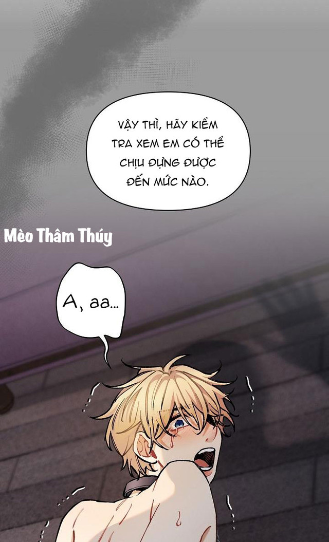 Chuyến Tàu Cuồng Loạn Chapter 33 (H+) - Trang 64