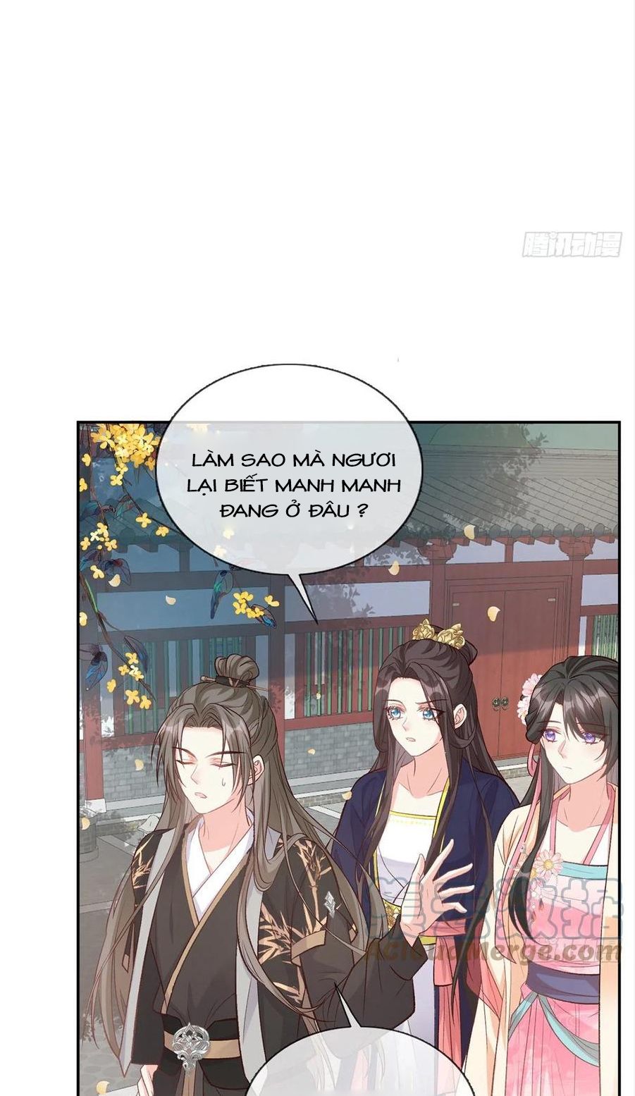 Kiều Mỵ Phu Lang, Tại Tuyến Lục Trà Chapter 65 - Trang 14