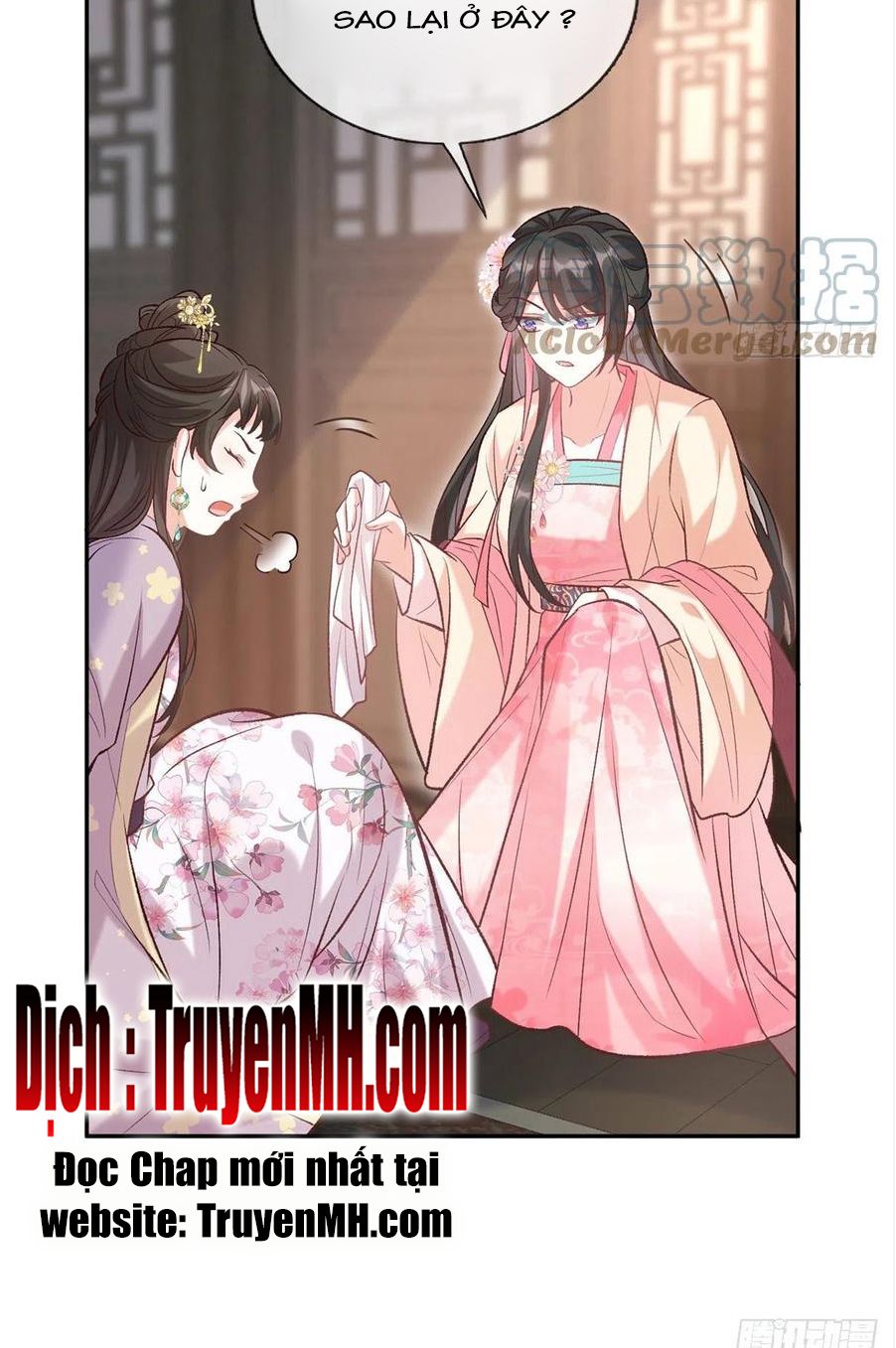 Kiều Mỵ Phu Lang, Tại Tuyến Lục Trà Chapter 68 - Trang 13