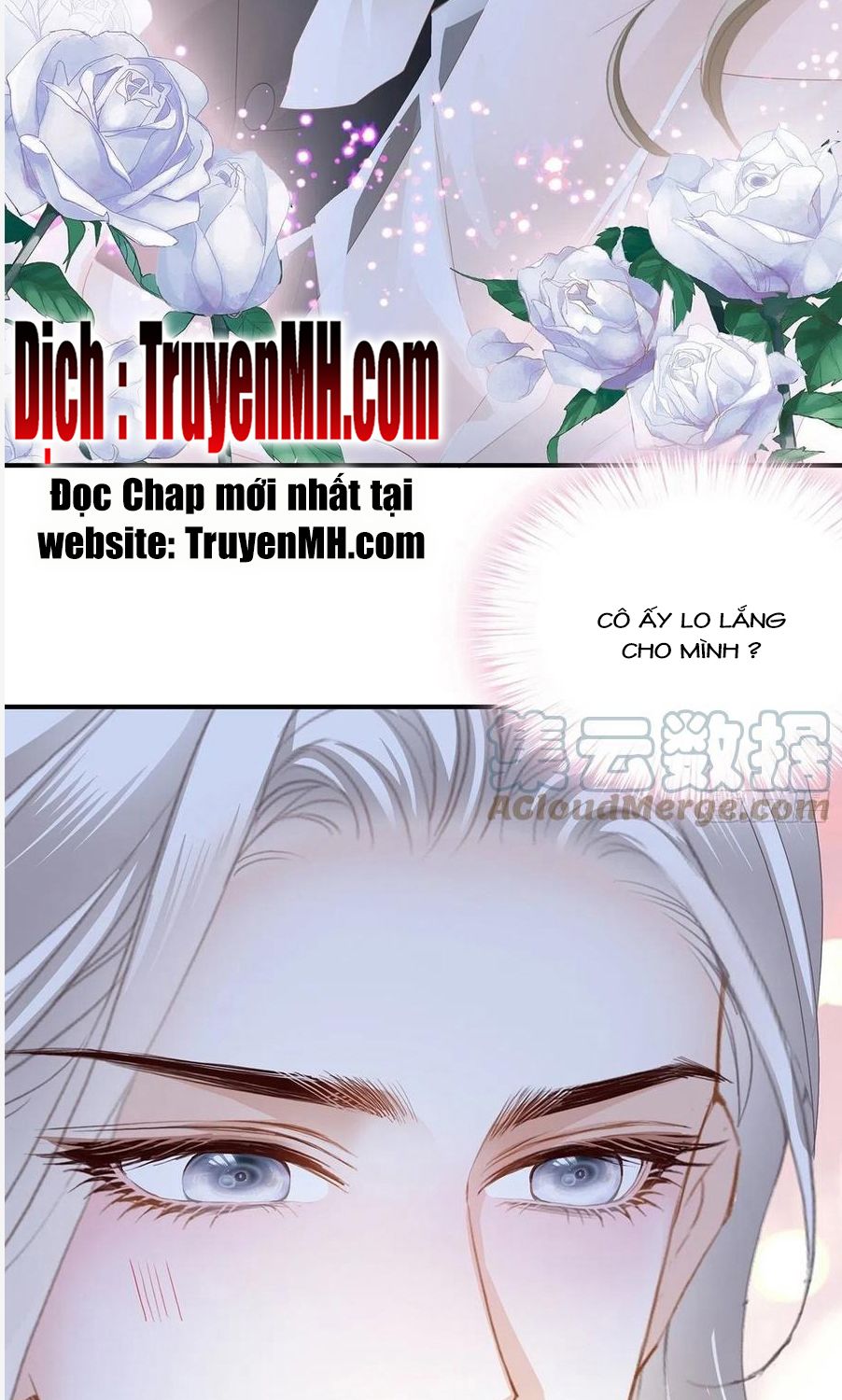 Kiều Mỵ Phu Lang, Tại Tuyến Lục Trà Chapter 69 - Trang 8