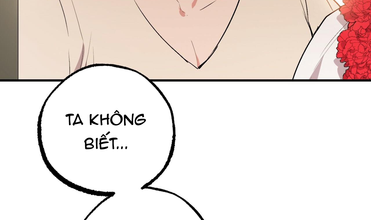 Đàn Thỏ Của Habibi Chapter 45 - Trang 232