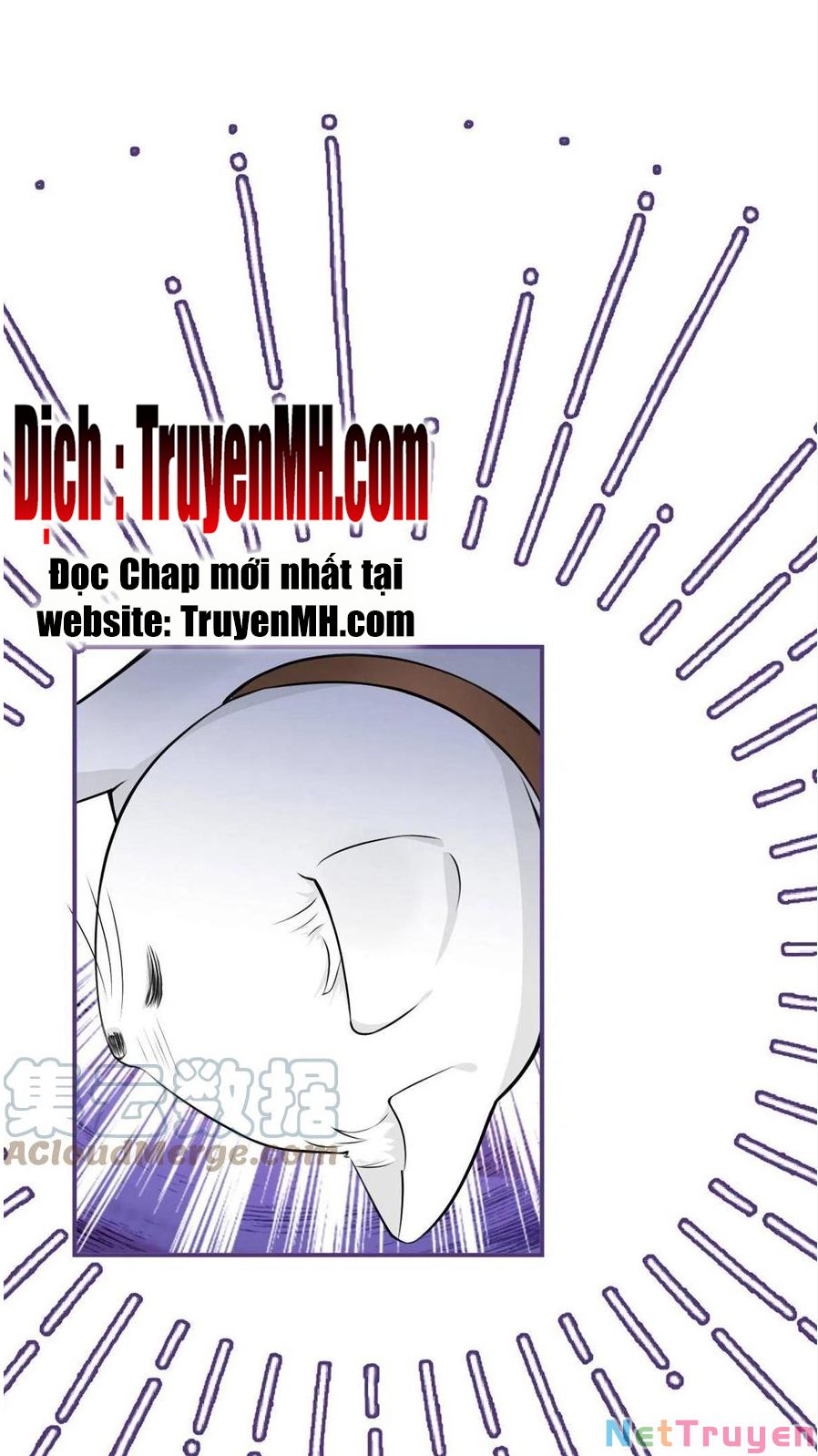 Ta Có Năm Đại Lão Ba Ba Chapter 247 - Trang 16