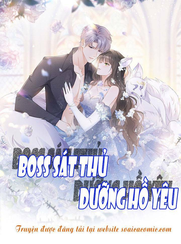 Boss Sát Thủ Dưỡng Hồ Yêu Chapter 85 - Trang 1