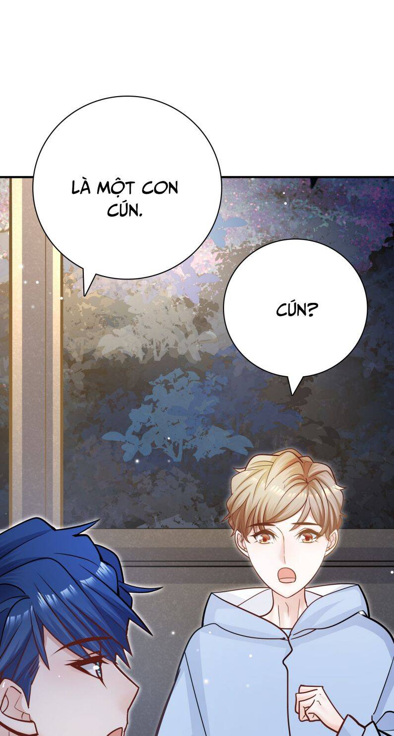 Anh Ấy Sinh Ra Đã Là Công Của Tôi Chapter 75 - Trang 5