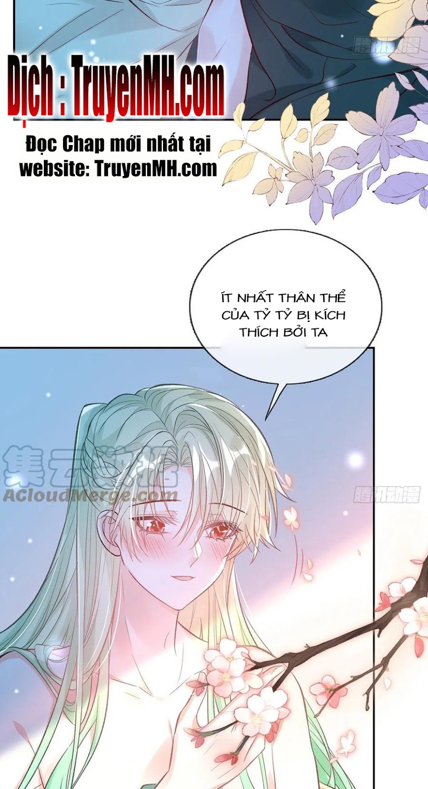 Kiều Mỵ Phu Lang, Tại Tuyến Lục Trà Chapter 78 - Trang 3